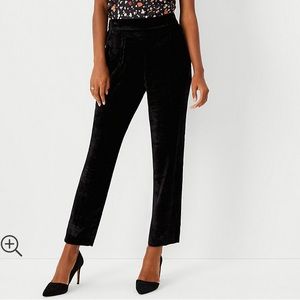 NWT - Ann Taylor Velvet Ankle Pants